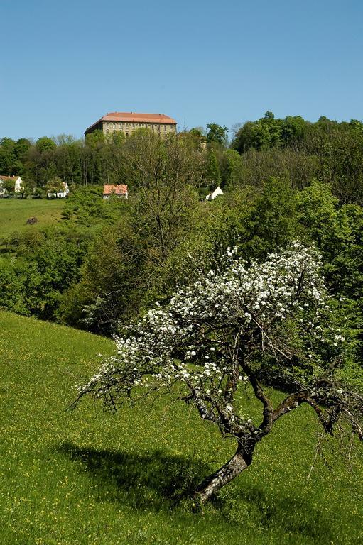 Gasthof Adler Schillingsfuerst Bagian luar foto
